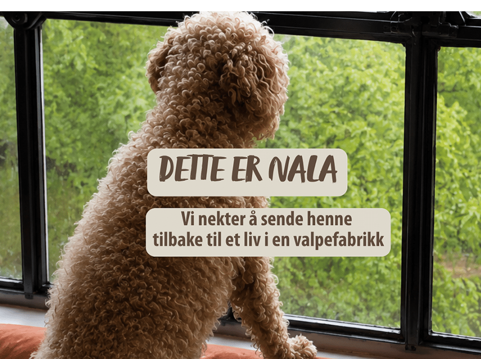 Nala mobil
